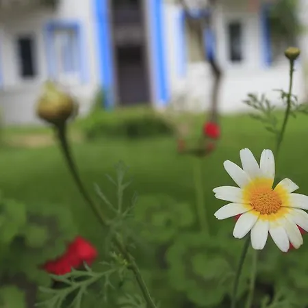 Hotel Akdeniz